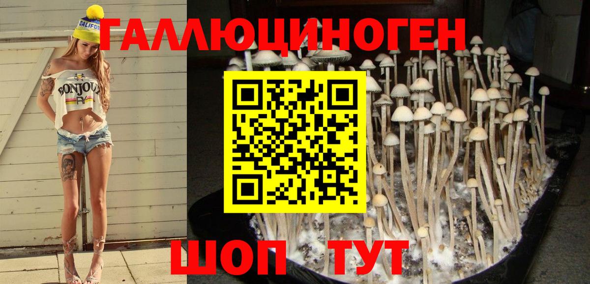 Горячий Ключ  Псилоцибиновые грибы мухоморы  где купить   Вход с VPN 